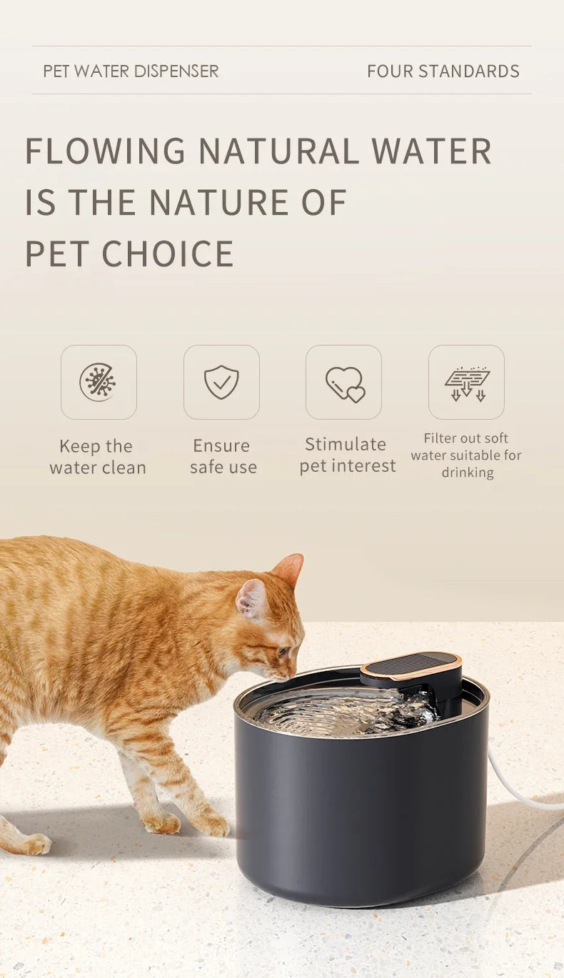 Pet water fountain